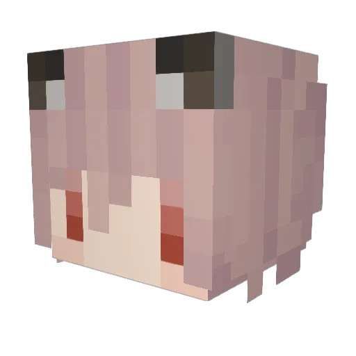 Rudiiii_ Minecraft avatar head, 3D render