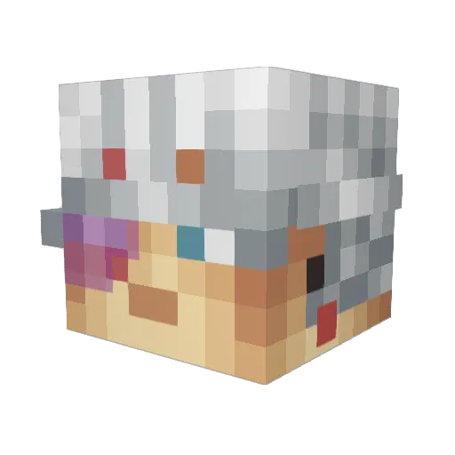 RudneyRRadness Minecraft avatar head, 3D render