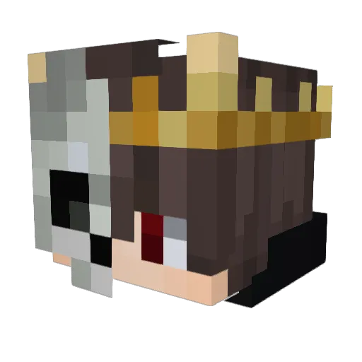 Rudprey Minecraft avatar head, 3D render