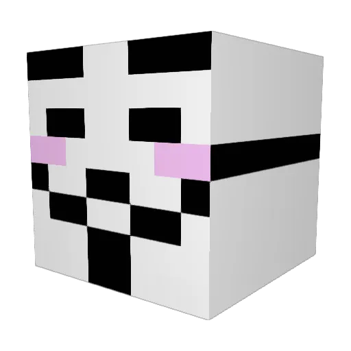 Rudransh2699 Minecraft avatar head, 3D render