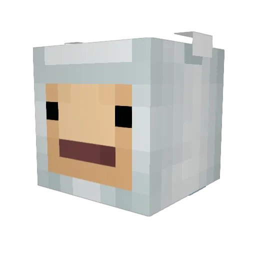 Rudraru Minecraft avatar head, 3D render