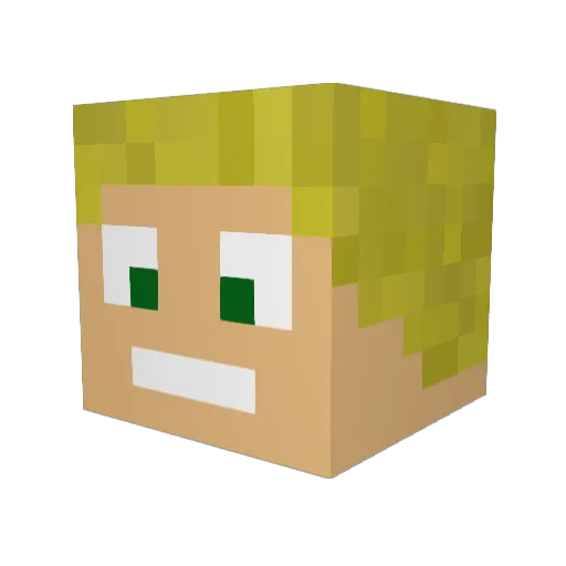 Ruduro7 Minecraft avatar head, 3D render