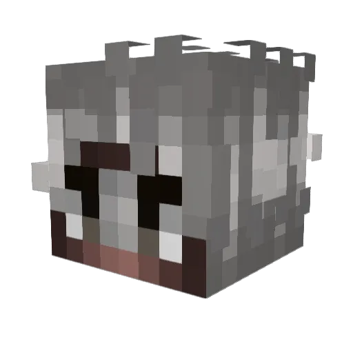 Rudy1222 Minecraft avatar head, 3D render
