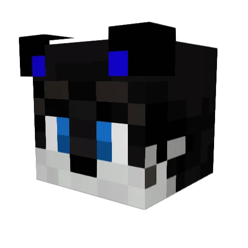 Rudy4208 Minecraft avatar head, 3D render