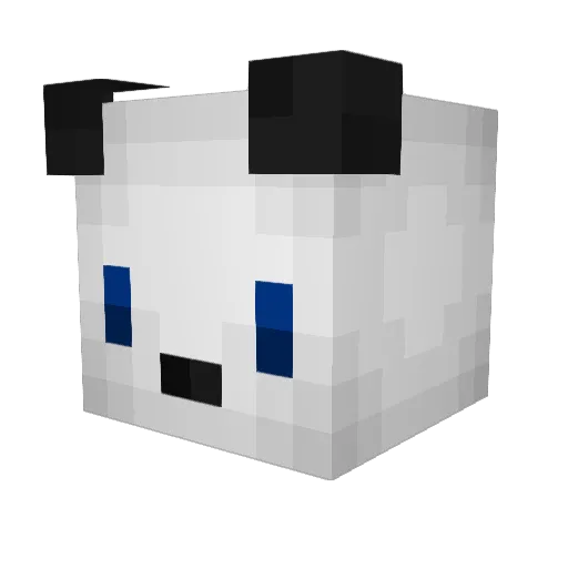 Rudy_3250 Minecraft avatar head, 3D render