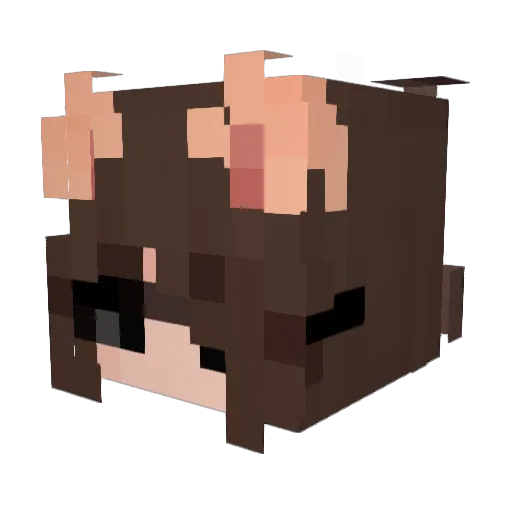 Rudyrue Minecraft avatar head, 3D render