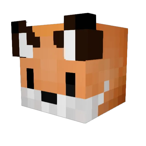Rueben0 Minecraft avatar head, 3D render