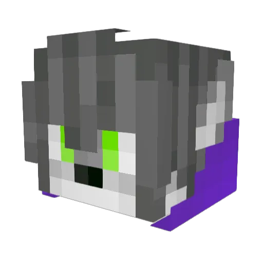 Ruet Minecraft avatar head, 3D render