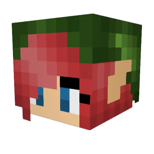 Ruewyn Minecraft avatar head, 3D render