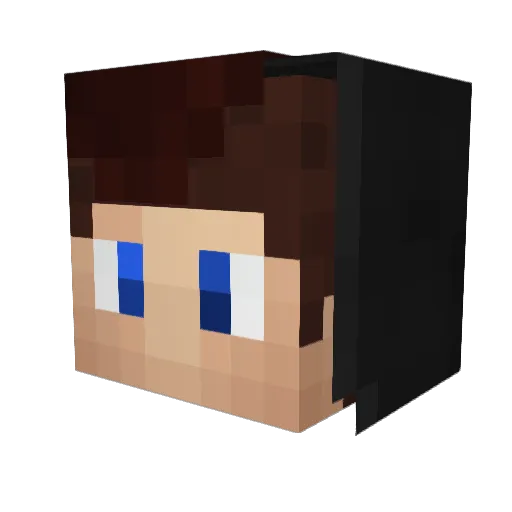 Ruff27Bricks28 Minecraft avatar head, 3D render