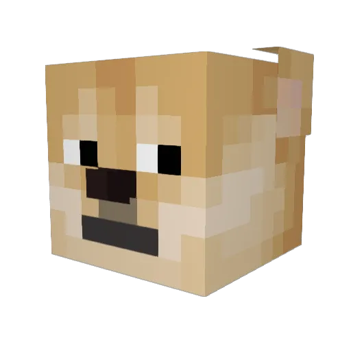 Ruff_b0i Minecraft avatar head, 3D render