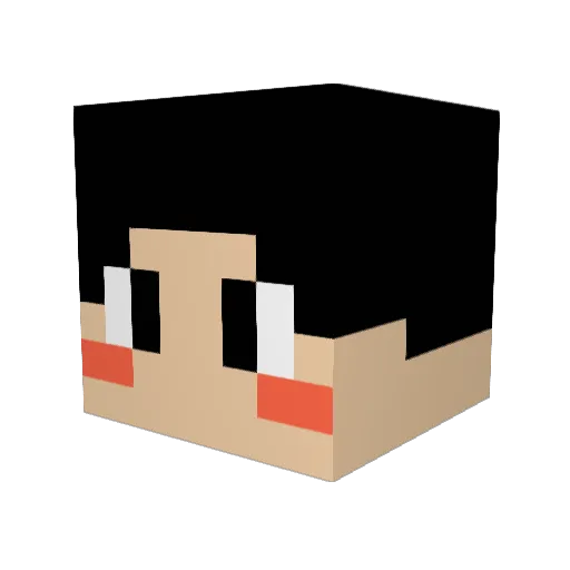 Rufflain Minecraft avatar head, 3D render