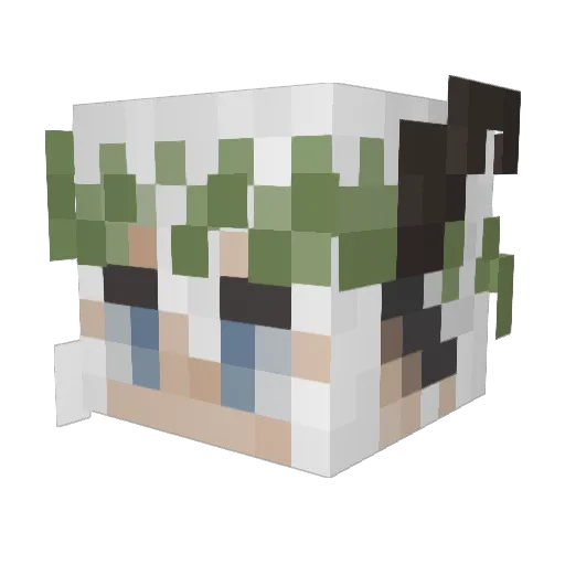 Rufin_ Minecraft avatar head, 3D render