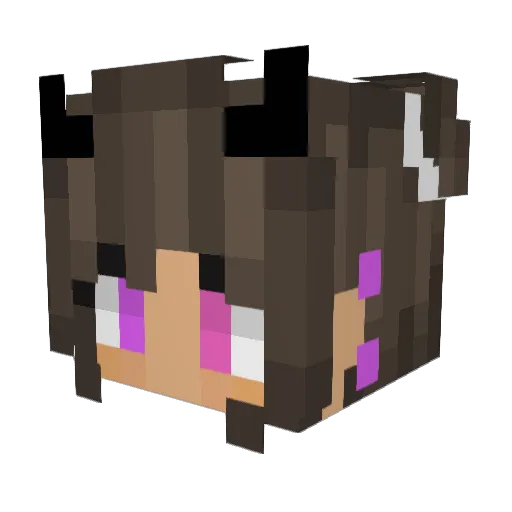 Rufuntoplaywith Minecraft avatar head, 3D render