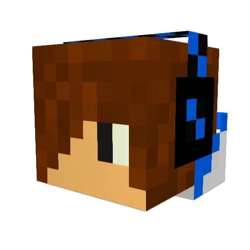 Rufus64 Minecraft avatar head, 3D render