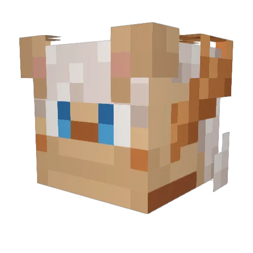 RufusVanilee Minecraft avatar head, 3D render