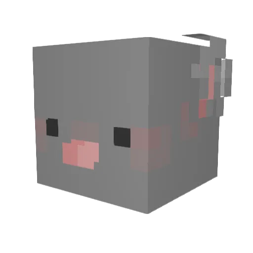Rufusisarat Minecraft avatar head, 3D render