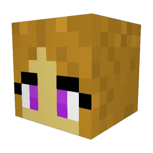 Rugar105 Minecraft avatar head, 3D render
