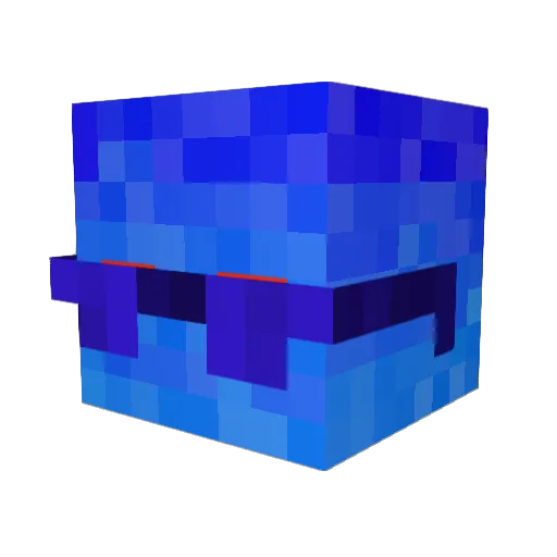Rugbyminion123 Minecraft avatar head, 3D render