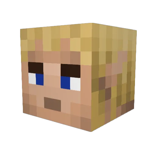 Rugi19 Minecraft avatar head, 3D render