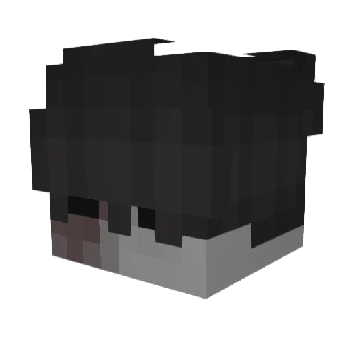 Ruhestand Minecraft avatar head, 3D render