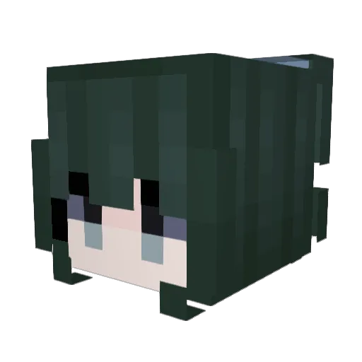 Ruhiho Minecraft avatar head, 3D render