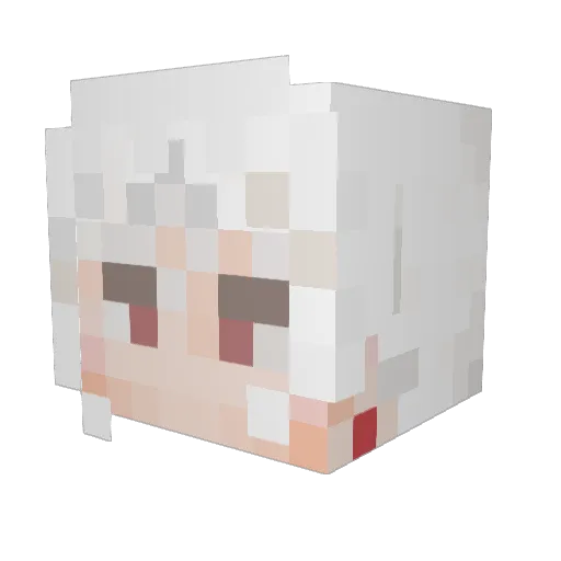 Rui11111 Minecraft avatar head, 3D render