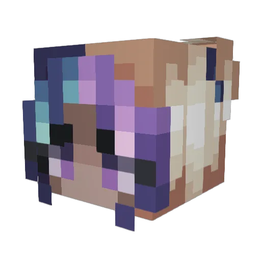 RuiToTheRui Minecraft avatar head, 3D render