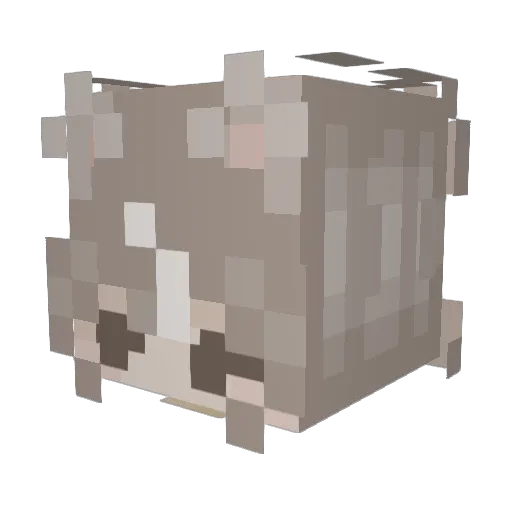 Rui_99S Minecraft avatar head, 3D render