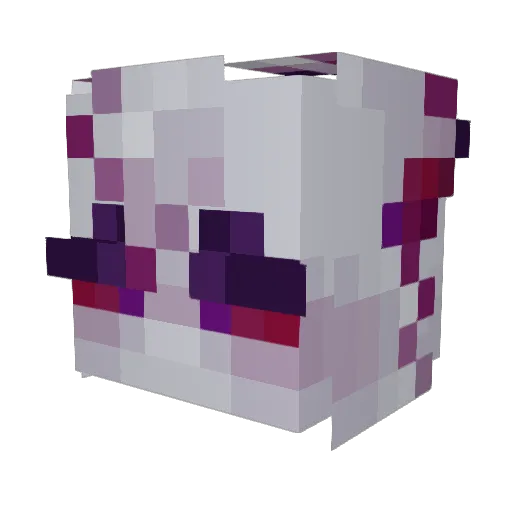 Ruii_Melatonin Minecraft avatar head, 3D render