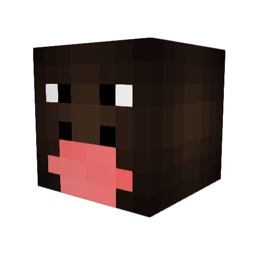 Ruik34 Minecraft avatar head, 3D render