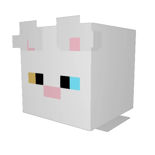 Ruin0410 Minecraft avatar head, 3D render