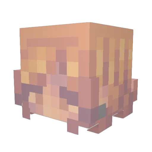 RuinedKingNate Minecraft avatar head, 3D render
