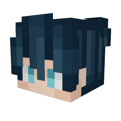 RuinedUser Minecraft avatar head, 3D render
