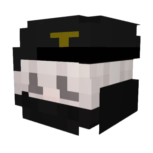 Ruinop Minecraft avatar head, 3D render