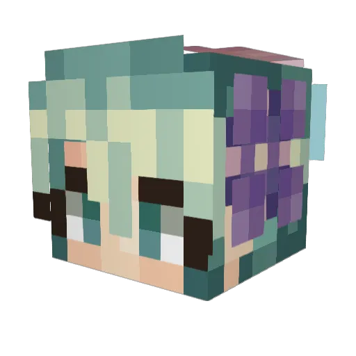 Ruitoki Minecraft avatar head, 3D render