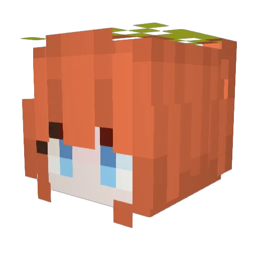 RukaLabyrinth Minecraft avatar head, 3D render