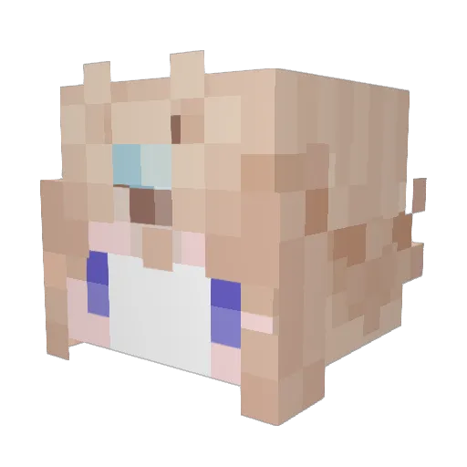 RukawaKaede11 Minecraft avatar head, 3D render