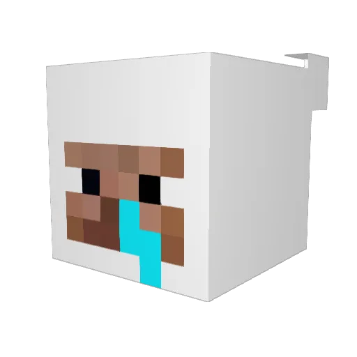 Ruki_Teruko Minecraft avatar head, 3D render