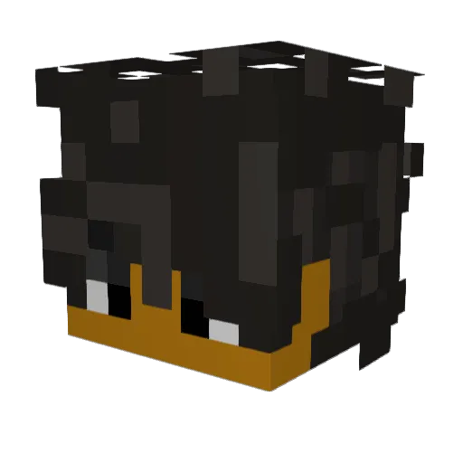 Rukv9235 Minecraft avatar head, 3D render