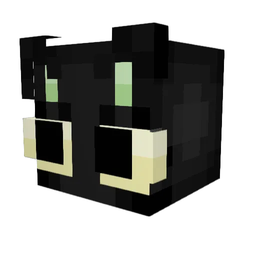 Rulaas Minecraft avatar head, 3D render