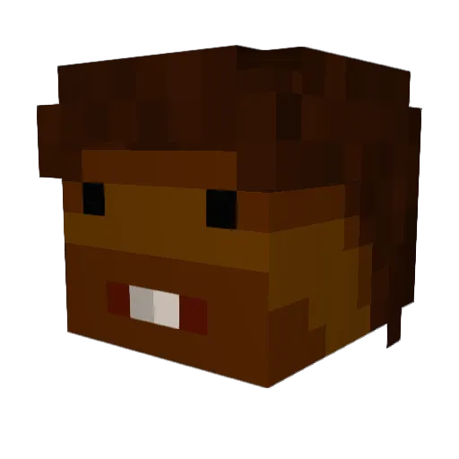 Rulacky Minecraft avatar head, 3D render