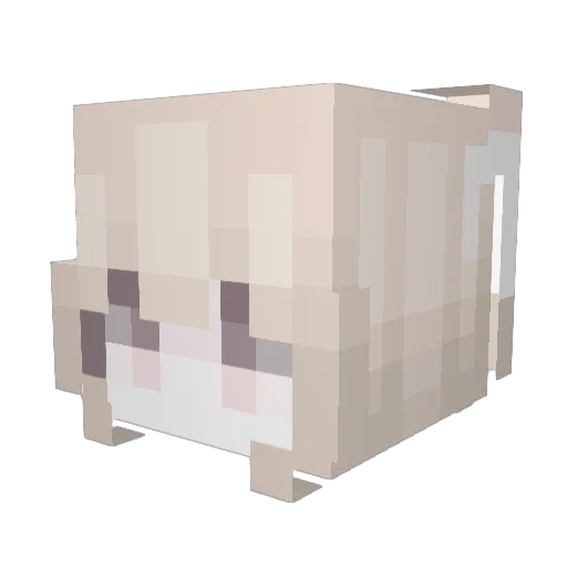 Rulakene Minecraft avatar head, 3D render