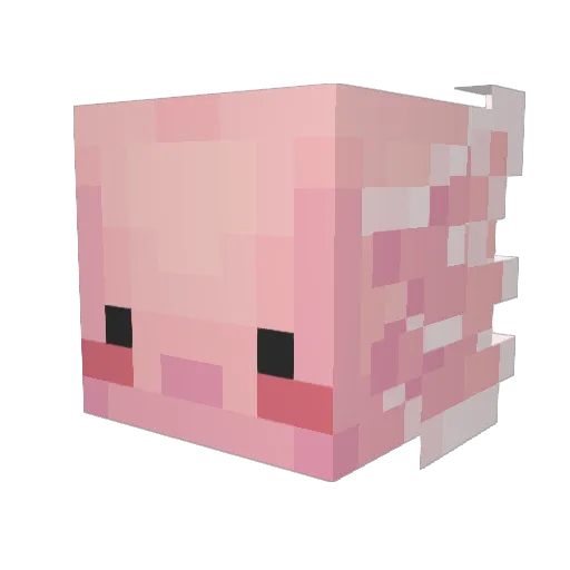 Rulenx_YT Minecraft avatar head, 3D render