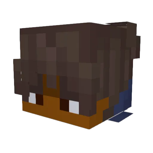 Rulexon Minecraft avatar head, 3D render