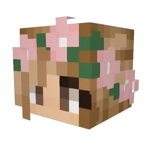 Rullestol Minecraft avatar head, 3D render