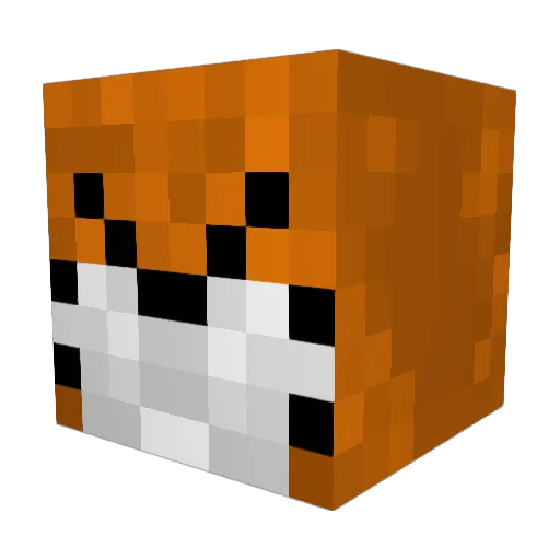 Rulo7789 Minecraft avatar head, 3D render