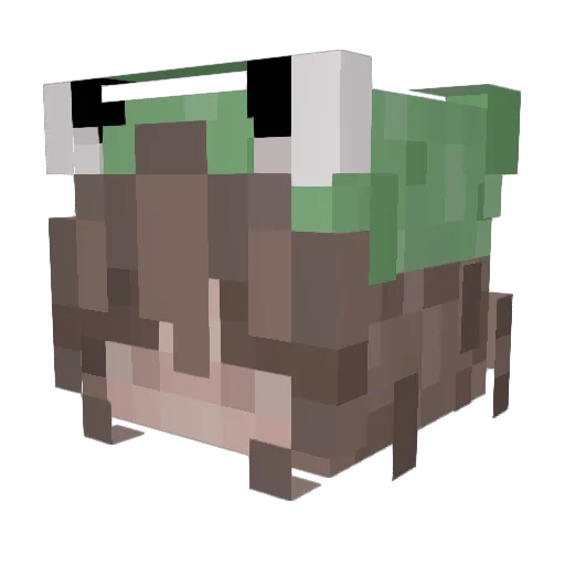 Rulu_bby Minecraft avatar head, 3D render