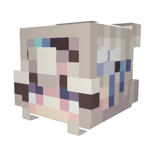 Rulysan Minecraft avatar head, 3D render