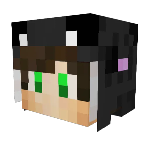 Rumaples Minecraft avatar head, 3D render
